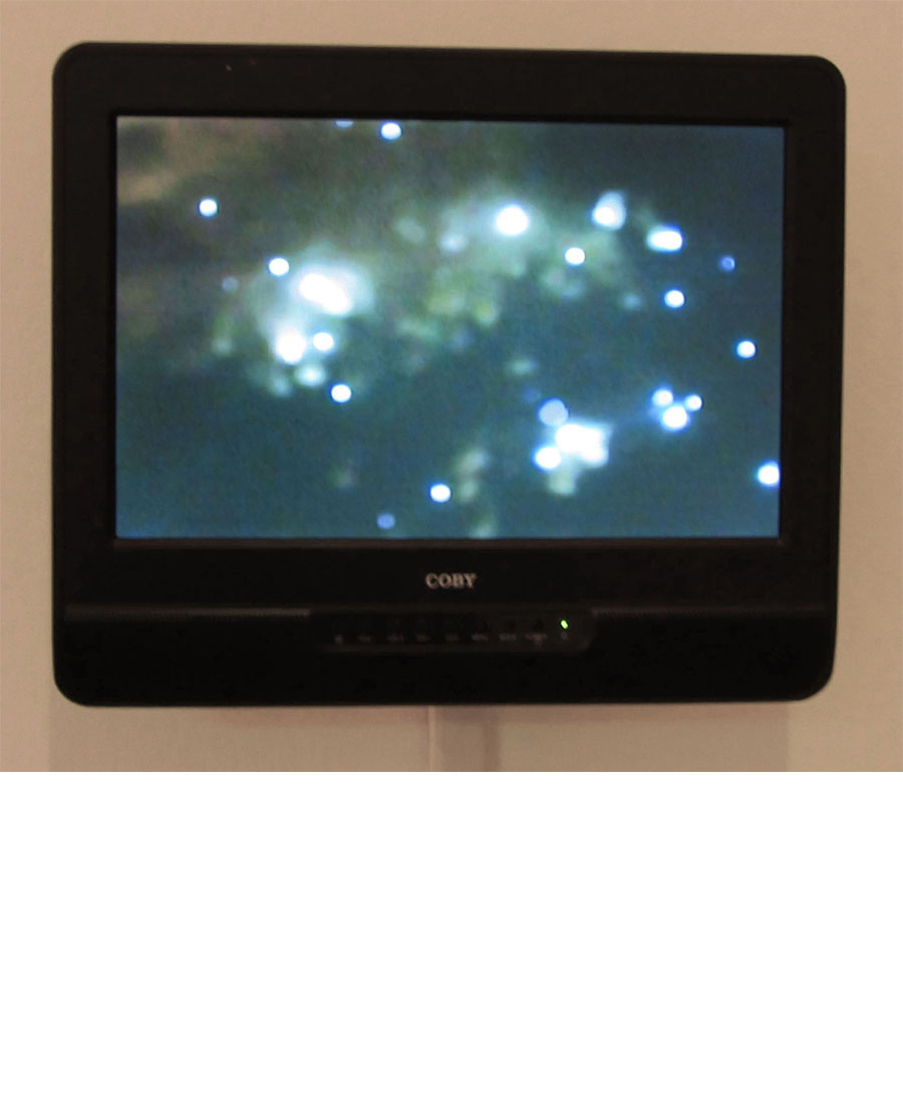 David Huffman's video, titled Sentient Pulse