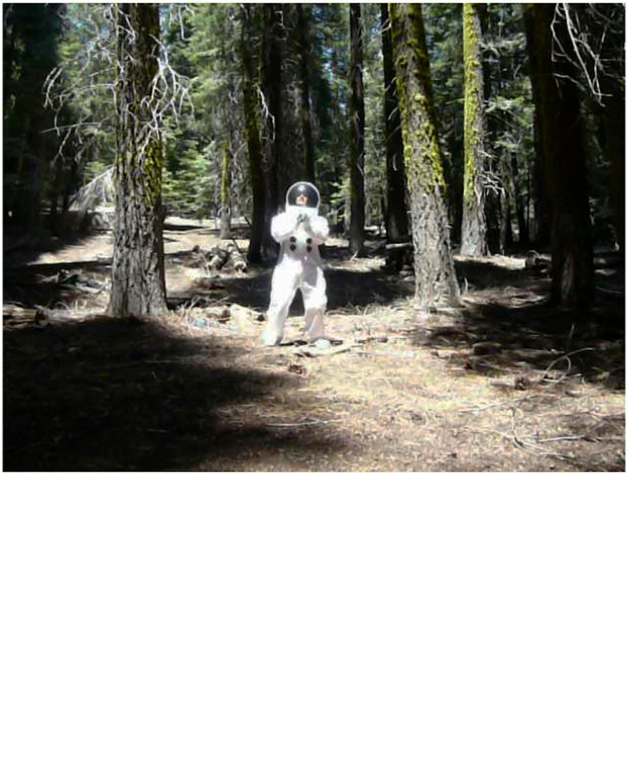 David Huffman's video, Treehugger